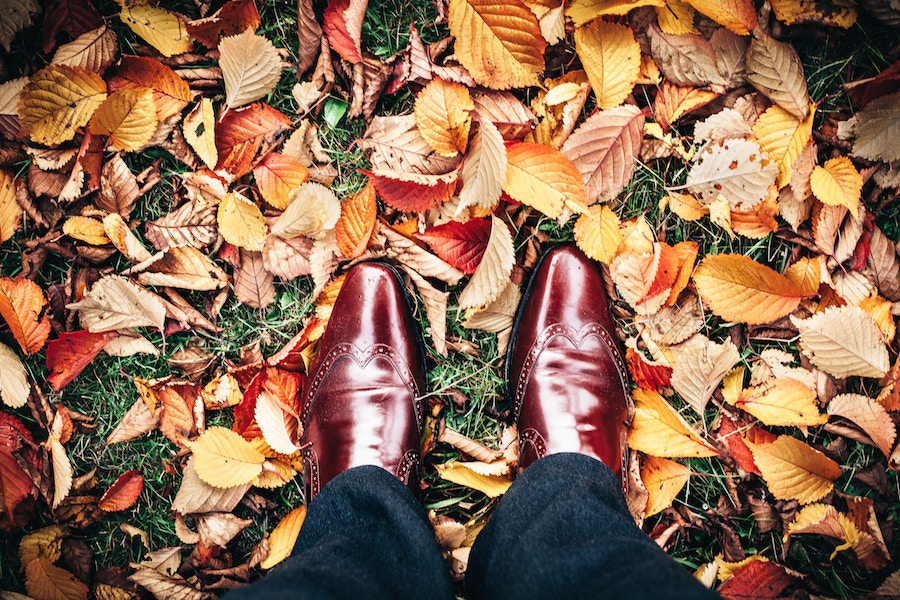 Shoes in leaves