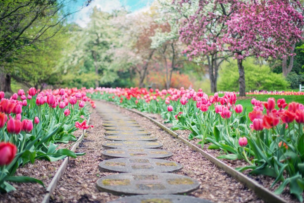 flower show and other spring events in philadelphia