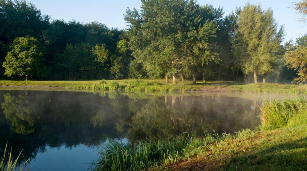 a quiet nature preserve