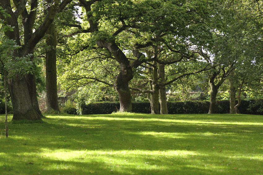 greenspace at central park doylestown